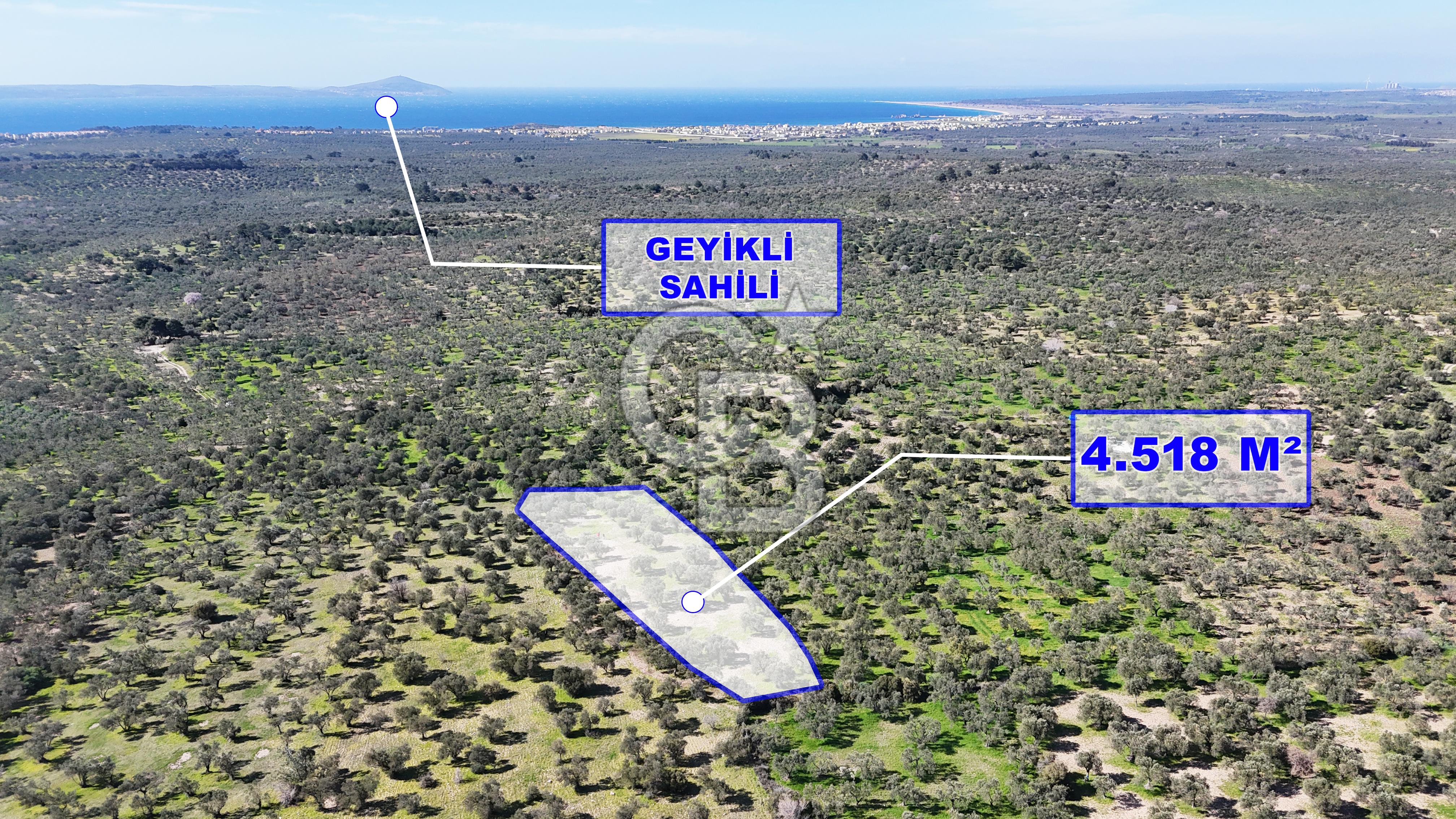 Çanakkale Geyikli de 4.518 m² Satılık Zeytinlik