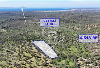 Çanakkale Geyikli de 4.518 m² Satılık Zeytinlik - 1 - 338661