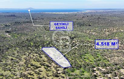 Çanakkale Geyikli de 4.518 m² Satılık Zeytinlik