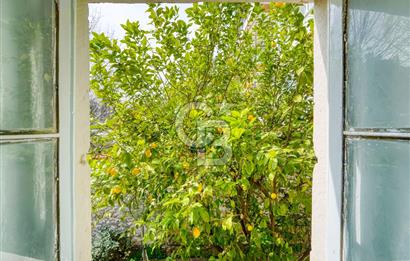 Buca Dumlupınarda Kiralık Tarihi Köşk | 7+2 Bahçe Teras