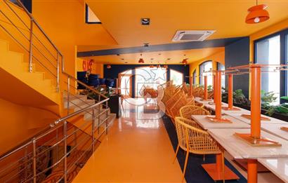 Alacaatlı'da Devren Kiralık Restoran