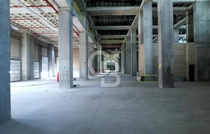 HADIMKÖY YOLUNA CEPHE A SINIFI 12.100m² H:12 11 RAMPA DEPO