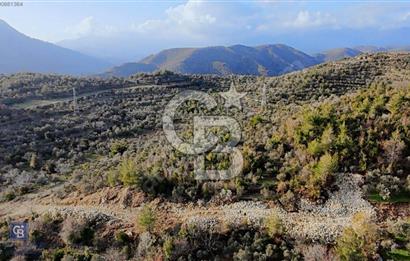 2.406 m² TARLA GELECEĞE YATIRIM FIRSATI