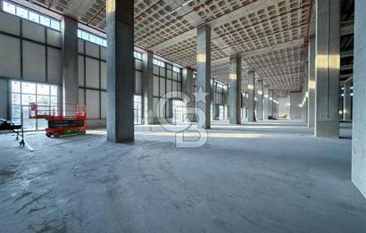 HADIMKÖY YOLUNA CEPHE A SINIFI 12.100m² H:12 11 RAMPA DEPO