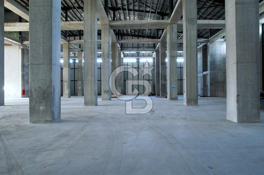 HADIMKÖY YOLUNA CEPHE A SINIFI 12.100m² H:12 11 RAMPA DEPO