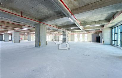 HADIMKÖY AKPINAR BÖLGESİNDE MÜSTAKİL 13.800 m2 KİRALIK FABRİKA