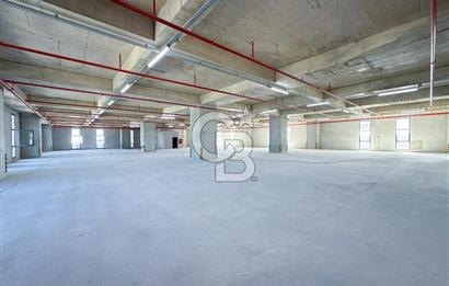 HADIMKÖY AKPINAR BÖLGESİNDE MÜSTAKİL 13.800 m2 KİRALIK FABRİKA