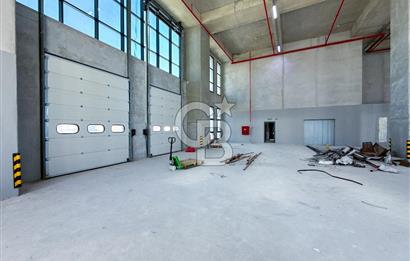 HADIMKÖY AKPINAR BÖLGESİNDE MÜSTAKİL 13.800 m2 KİRALIK FABRİKA