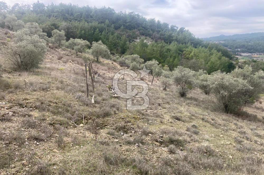 Muğla Menteşe Denizova'da Satılık 2232 m²  80m Yol Cepheli Tarla