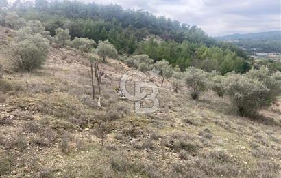 Muğla Menteşe Denizova'da Satılık 2232 m²  80m Yol Cepheli Tarla