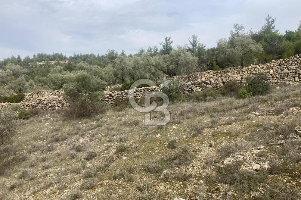 Muğla Menteşe Denizova'da Satılık 2232 m²  80m Yol Cepheli Tarla