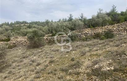 Muğla Menteşe Denizova'da Satılık 2232 m²  80m Yol Cepheli Tarla