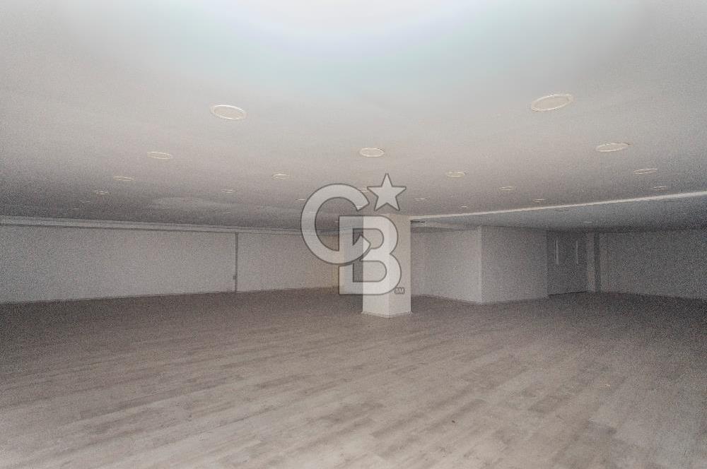 Yeşillik Caddesinde 1000 m2 Yük Asansörlü 5 Katlı Showroom
