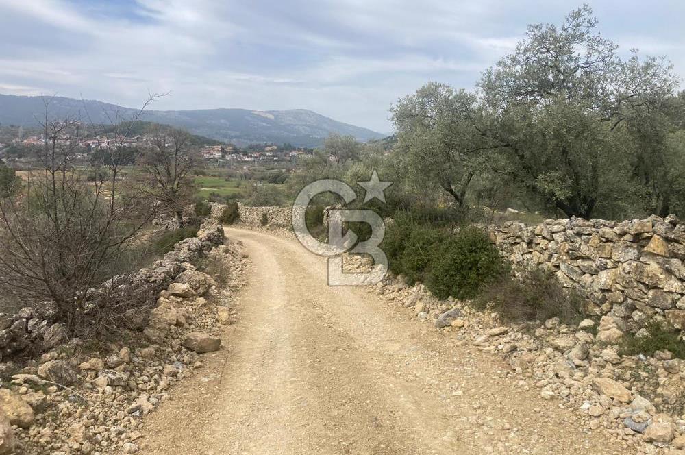Muğla Menteşe Denizova'da Satılık 2232 m²  80m Yol Cepheli Tarla
