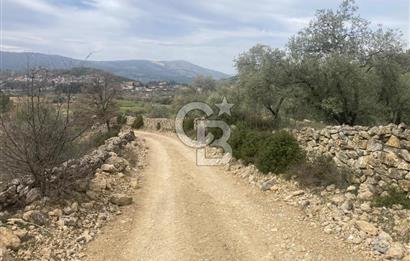 Muğla Menteşe Denizova'da Satılık 2232 m²  80m Yol Cepheli Tarla