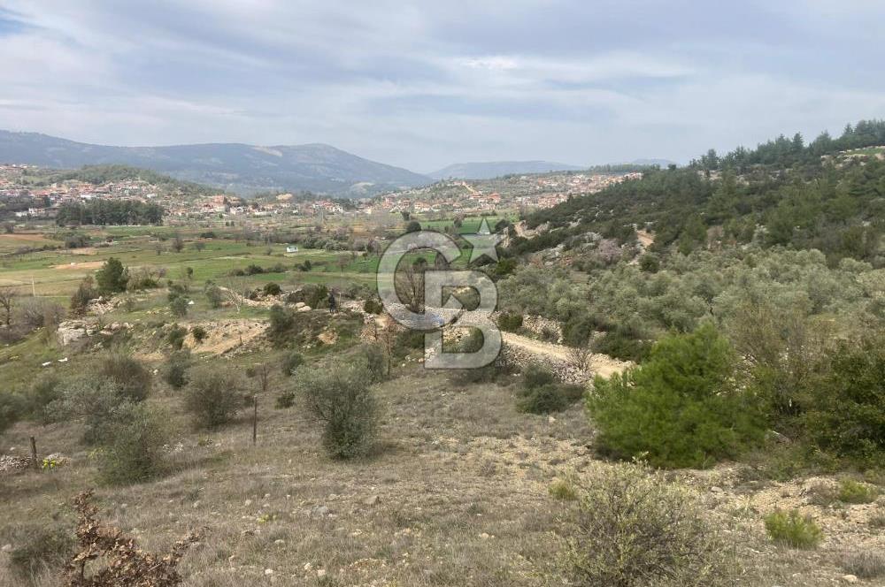 Muğla Menteşe Denizova'da Satılık 2232 m²  80m Yol Cepheli Tarla