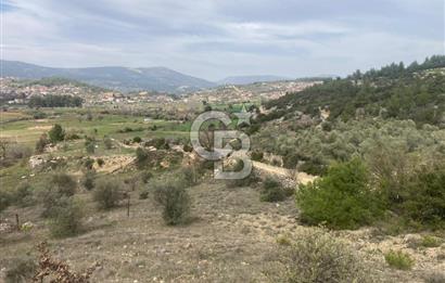 Muğla Menteşe Denizova'da Satılık 2232 m²  80m Yol Cepheli Tarla