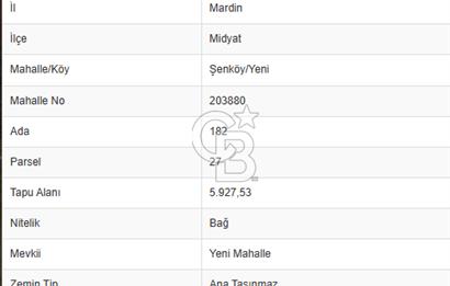 Mardin Midyat Şenköyde 5927 m2 Yatırımlık Bağ