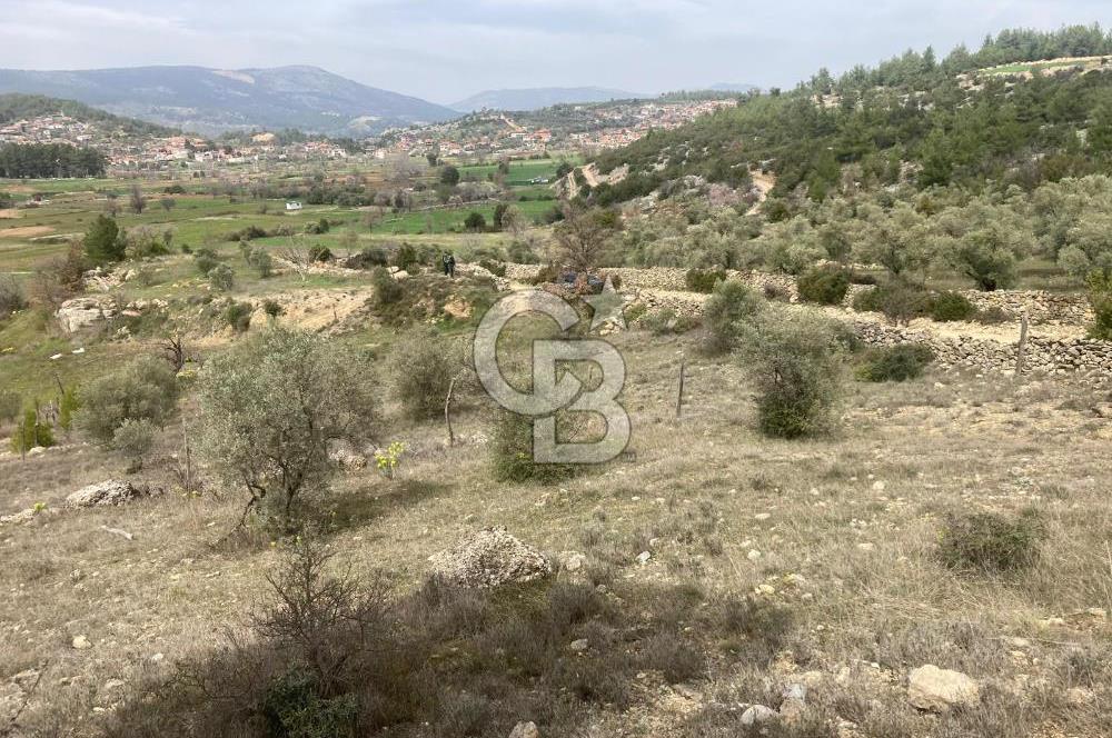 Muğla Menteşe Denizova'da Satılık 2232 m²  80m Yol Cepheli Tarla