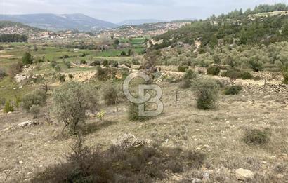 Muğla Menteşe Denizova'da Satılık 2232 m²  80m Yol Cepheli Tarla