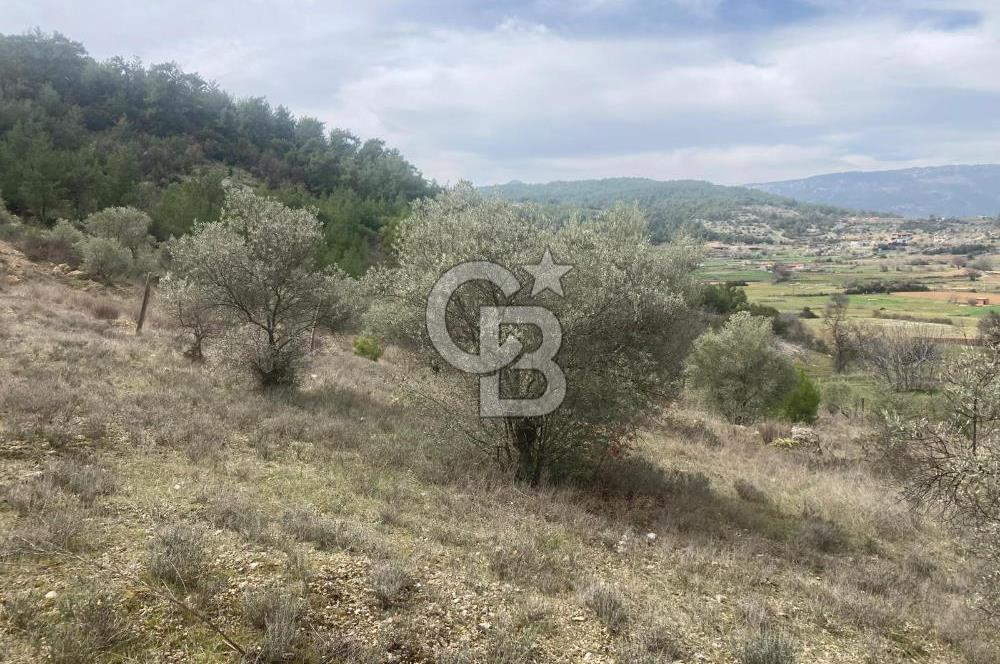 Muğla Menteşe Denizova'da Satılık 2232 m²  80m Yol Cepheli Tarla