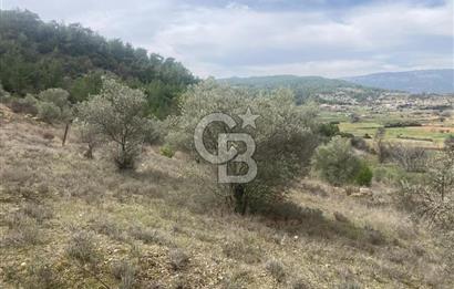 Muğla Menteşe Denizova'da Satılık 2232 m²  80m Yol Cepheli Tarla