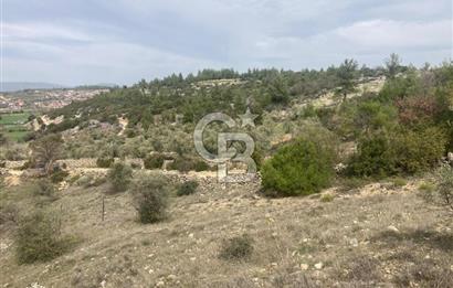 Muğla Menteşe Denizova'da Satılık 2232 m²  80m Yol Cepheli Tarla