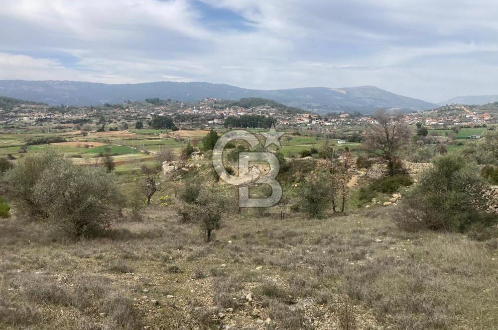 Muğla Menteşe Denizova'da Satılık 2232 m²  80m Yol Cepheli Tarla