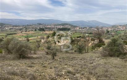 Muğla Menteşe Denizova'da Satılık 2232 m²  80m Yol Cepheli Tarla