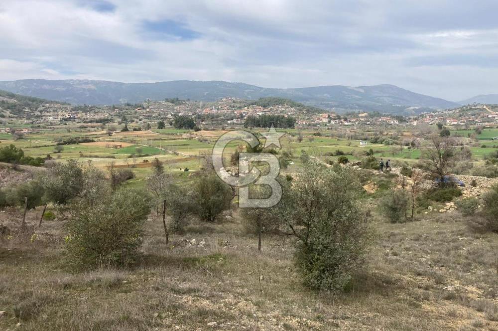 Muğla Menteşe Denizova'da Satılık 2232 m²  80m Yol Cepheli Tarla