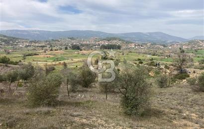 Muğla Menteşe Denizova'da Satılık 2232 m²  80m Yol Cepheli Tarla