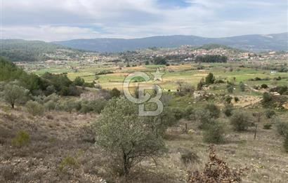 Muğla Menteşe Denizova'da Satılık 2232 m²  80m Yol Cepheli Tarla