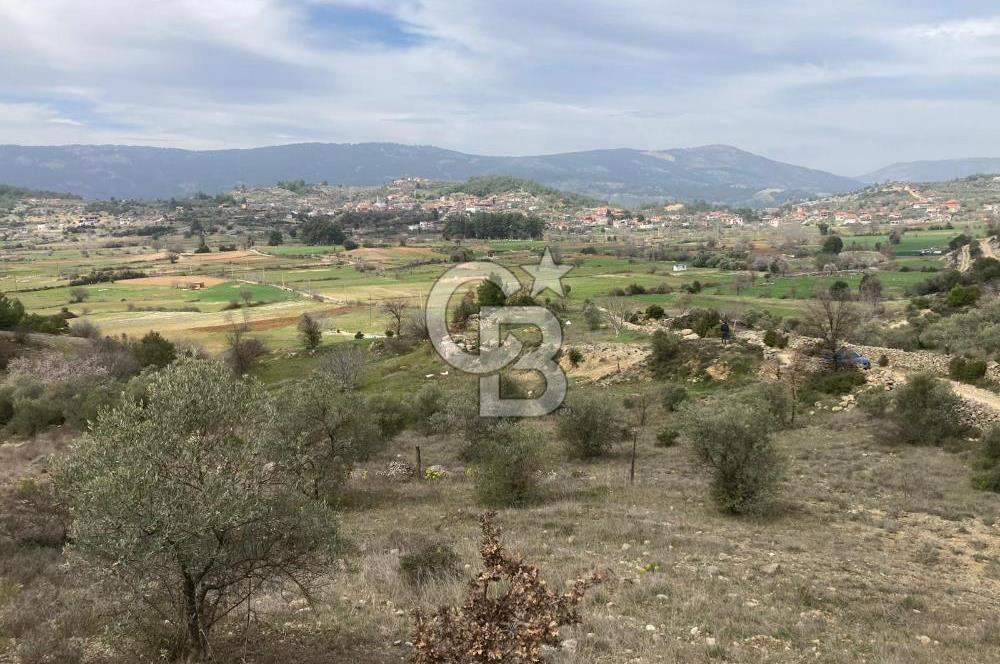 Muğla Menteşe Denizova'da Satılık 2232 m²  80m Yol Cepheli Tarla