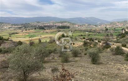 Muğla Menteşe Denizova'da Satılık 2232 m²  80m Yol Cepheli Tarla