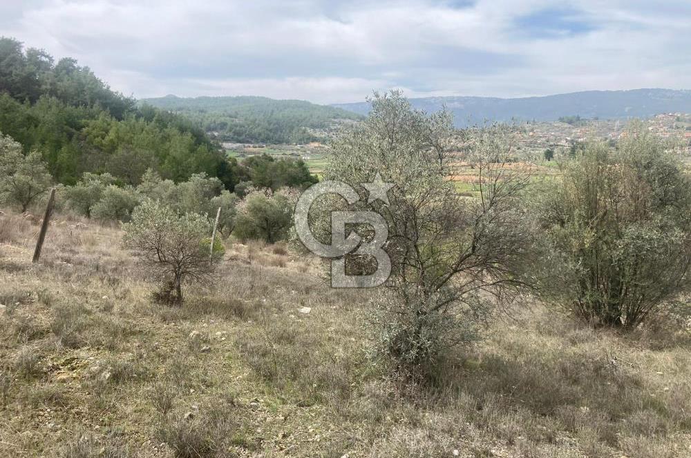 Muğla Menteşe Denizova'da Satılık 2232 m²  80m Yol Cepheli Tarla