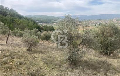 Muğla Menteşe Denizova'da Satılık 2232 m²  80m Yol Cepheli Tarla