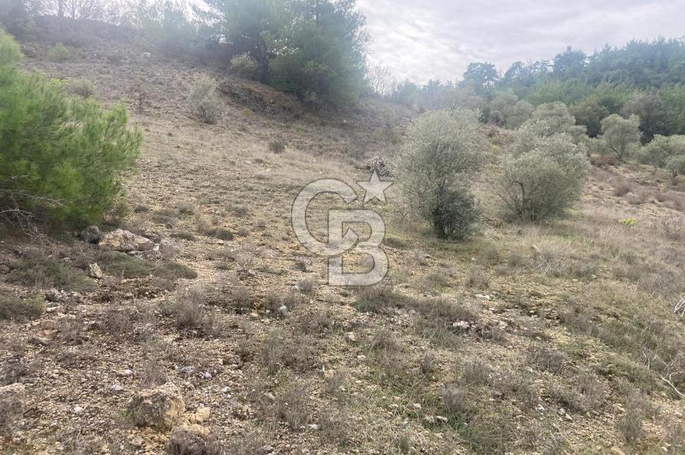 Muğla Menteşe Denizova'da Satılık 2232 m²  80m Yol Cepheli Tarla