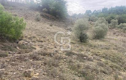 Muğla Menteşe Denizova'da Satılık 2232 m²  80m Yol Cepheli Tarla