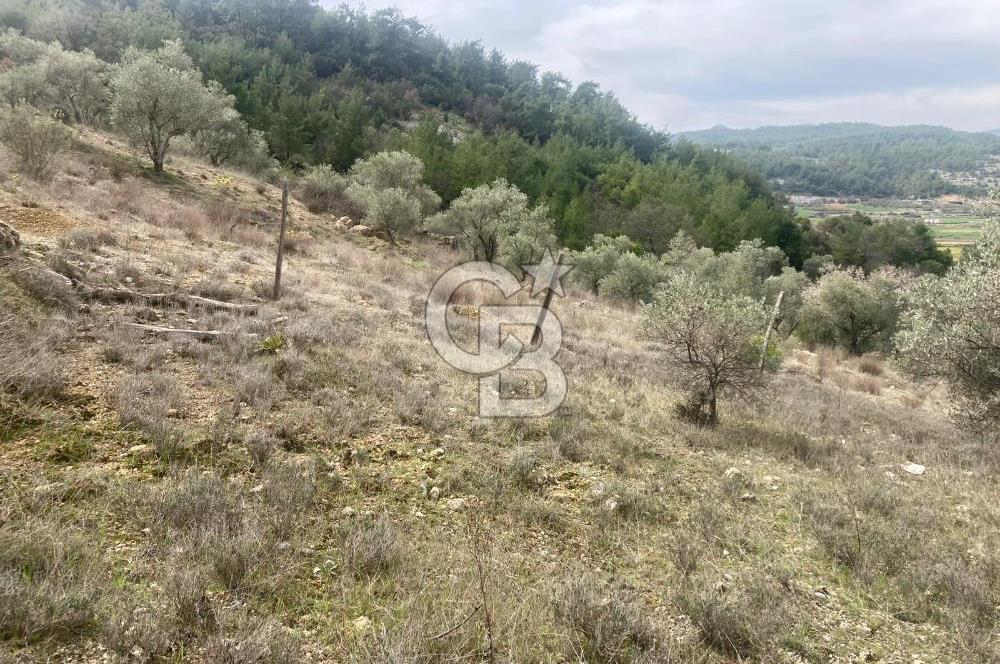 Muğla Menteşe Denizova'da Satılık 2232 m²  80m Yol Cepheli Tarla