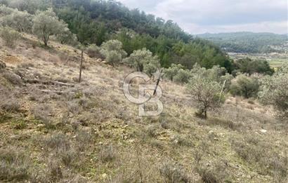 Muğla Menteşe Denizova'da Satılık 2232 m²  80m Yol Cepheli Tarla