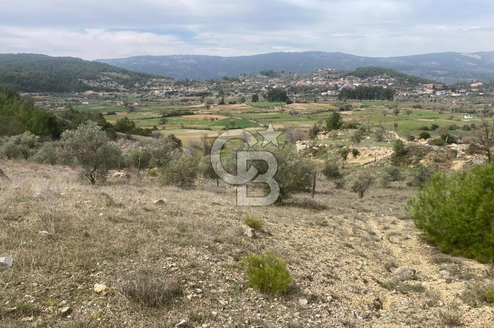 Muğla Menteşe Denizova'da Satılık 2232 m²  80m Yol Cepheli Tarla