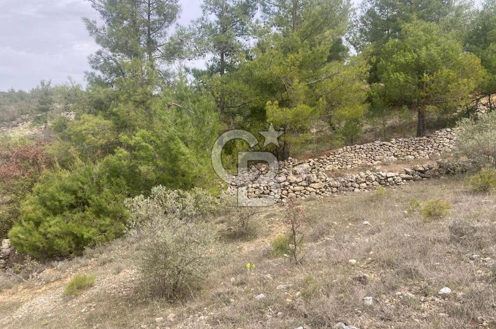 Muğla Menteşe Denizova'da Satılık 2232 m²  80m Yol Cepheli Tarla