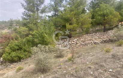 Muğla Menteşe Denizova'da Satılık 2232 m²  80m Yol Cepheli Tarla