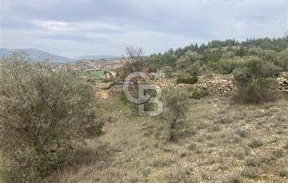 Muğla Menteşe Denizova'da Satılık 2232 m²  80m Yol Cepheli Tarla