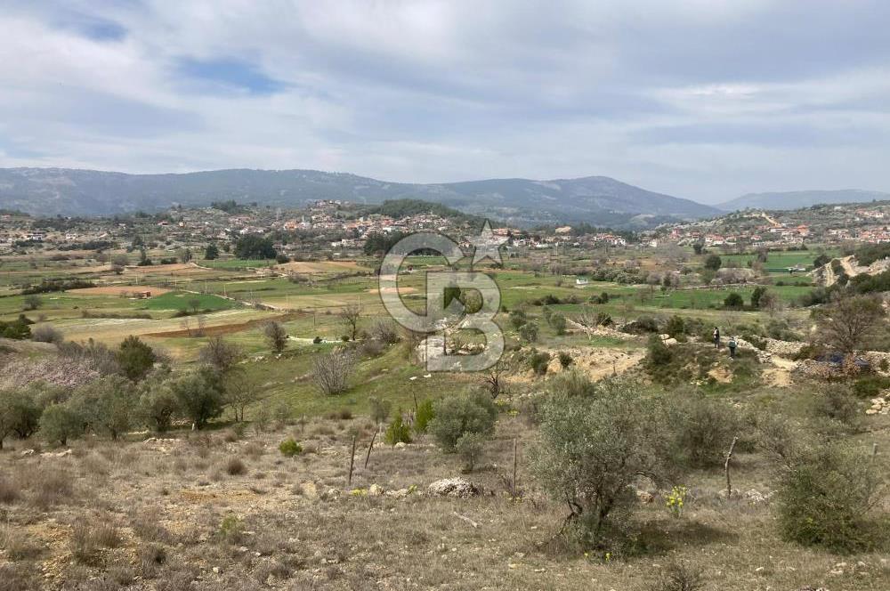 Muğla Menteşe Denizova'da Satılık 2232 m²  80m Yol Cepheli Tarla