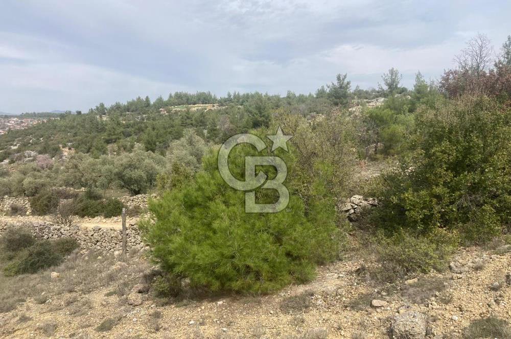 Muğla Menteşe Denizova'da Satılık 2232 m²  80m Yol Cepheli Tarla