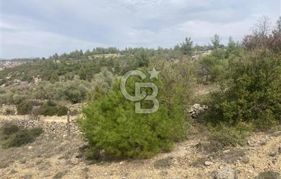 Muğla Menteşe Denizova'da Satılık 2232 m²  80m Yol Cepheli Tarla