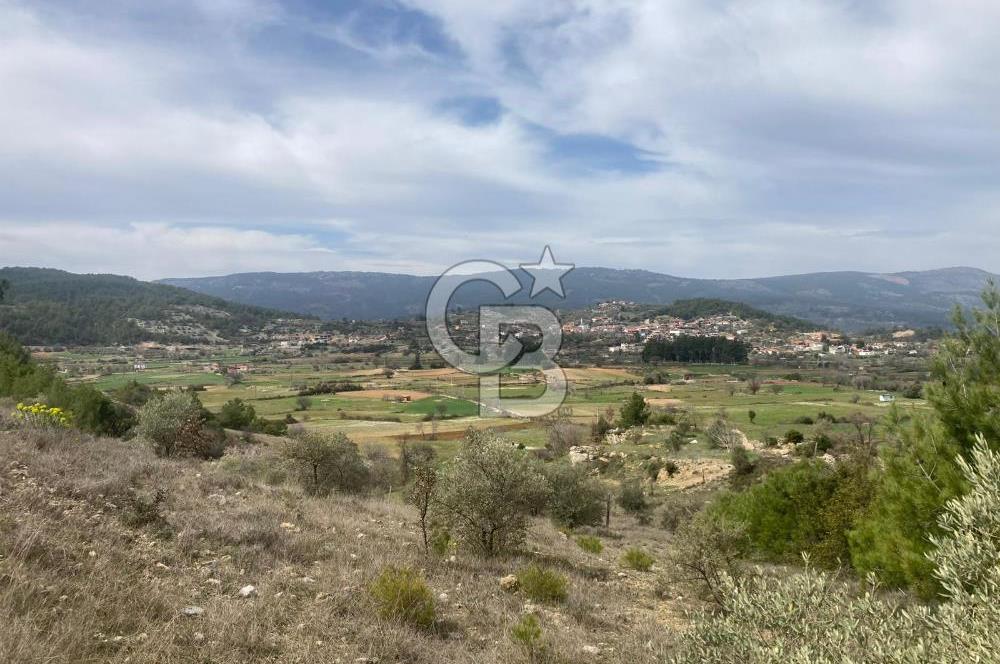 Muğla Menteşe Denizova'da Satılık 2232 m²  80m Yol Cepheli Tarla