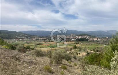 Muğla Menteşe Denizova'da Satılık 2232 m²  80m Yol Cepheli Tarla