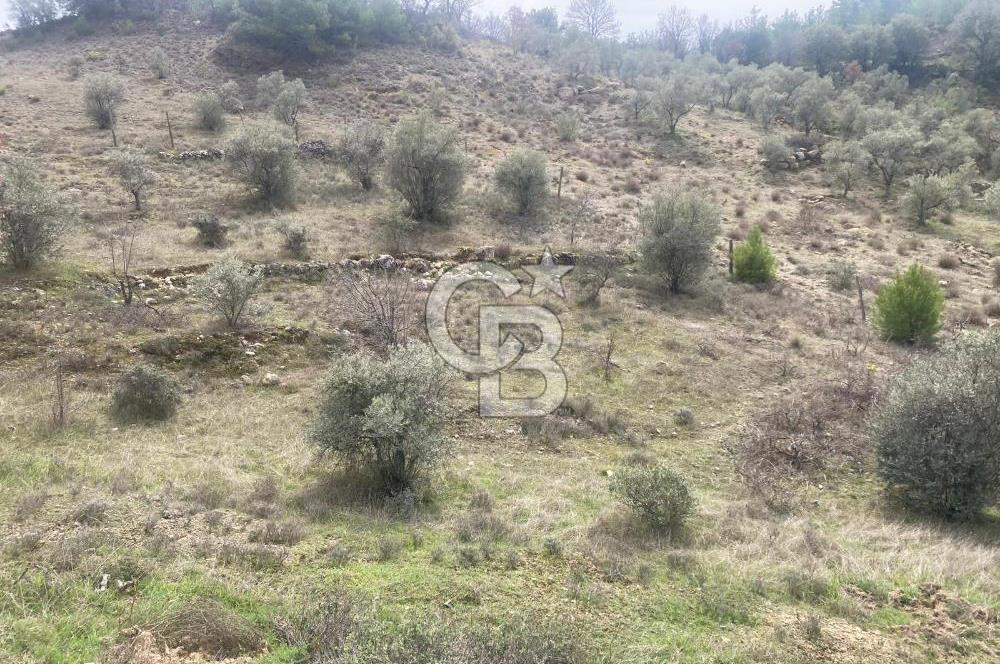 Muğla Menteşe Denizova'da Satılık 2232 m²  80m Yol Cepheli Tarla